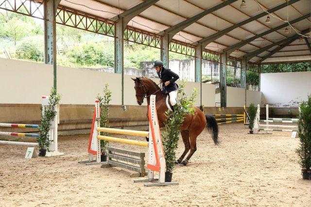Competicion de salto